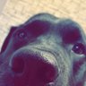 Profilbild von Kacper