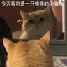Profilbild von 生意刚开张