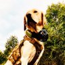 Peter Kaak's profile picture