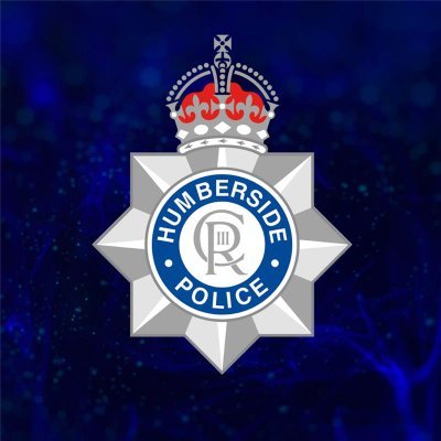 Humberbeat's profile picture