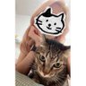 Profilbild von 慢熟夫妻 M & C