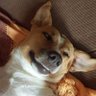 ✪ Luis's profile picture