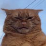 F.Takashi's profile picture