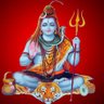 Profilbild von BJP Satish Mittal