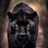 Фото профиля Ingwe_Emnyama