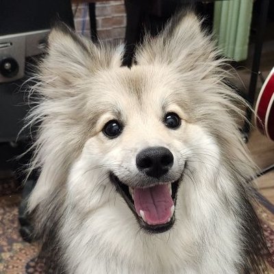 no1boss_kim's profile picture