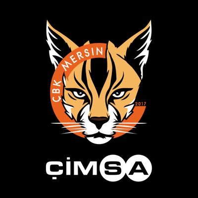 Çimsa ÇBK Mersin's profile picture