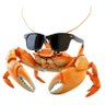 Profilbild von noenu