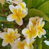 Фото профиля NIQABIIII