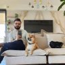 Bar Biton profil fotoğrafı