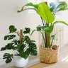 Фото профиля ALI DZ 04