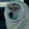 Profilbild von winge