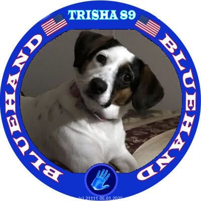 Davis1989555's profile picture