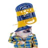 Kevin Ryan's profile picture