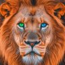Сергей Наружний's profile picture