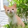 Jarius Ldog profil fotoğrafı