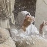 Profilbild von alaa ashraf