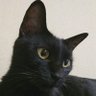 â£ïžð±ãããð±â£ïž profil fotoÄrafı