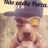 Bruno's profile picture