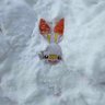 Profilbild von plush scorbunny ❤️‍🔥