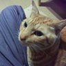 Profilbild von yuntaka_1227