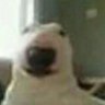 mcon profil fotoğrafı