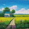 Duoning Ma 的头像