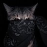 Retail crypto's profile picture