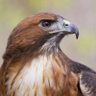 Profilbild von xemgin