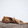 Фото профиля Bradley Szymanski