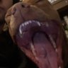 Profilbild von underdog