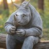 Robert_Wo's profile picture