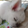 ひろせ's profile picture