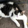 pisi 🪩 profil fotoğrafı