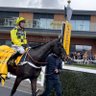 Фото профиля Harry Vince