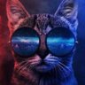 Alex Gilli's profile picture