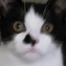 Profilbild von marcus zara