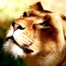 Фото профиля Lélionnes