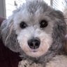 Фото профиля Gigi