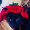 Teadraah's profile picture