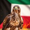 Фото профиля كويتي وأفتخر 🇰🇼