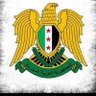 الجمهورية العربية السورية2024 profil fotoğrafı