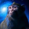 Cosmic Monkey's profile picture