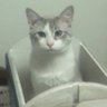 DaveJ1045 profil fotoğrafı