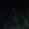 Profilbild von jijina 2006