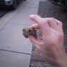Brayden Hurley's profile picture