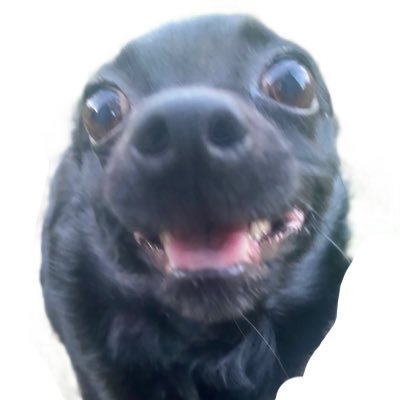 Nicomburgh's profile picture