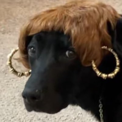raianamoraesss's profile picture