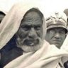 Фото профиля Hamid