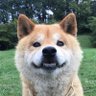Profilbild von イサラ